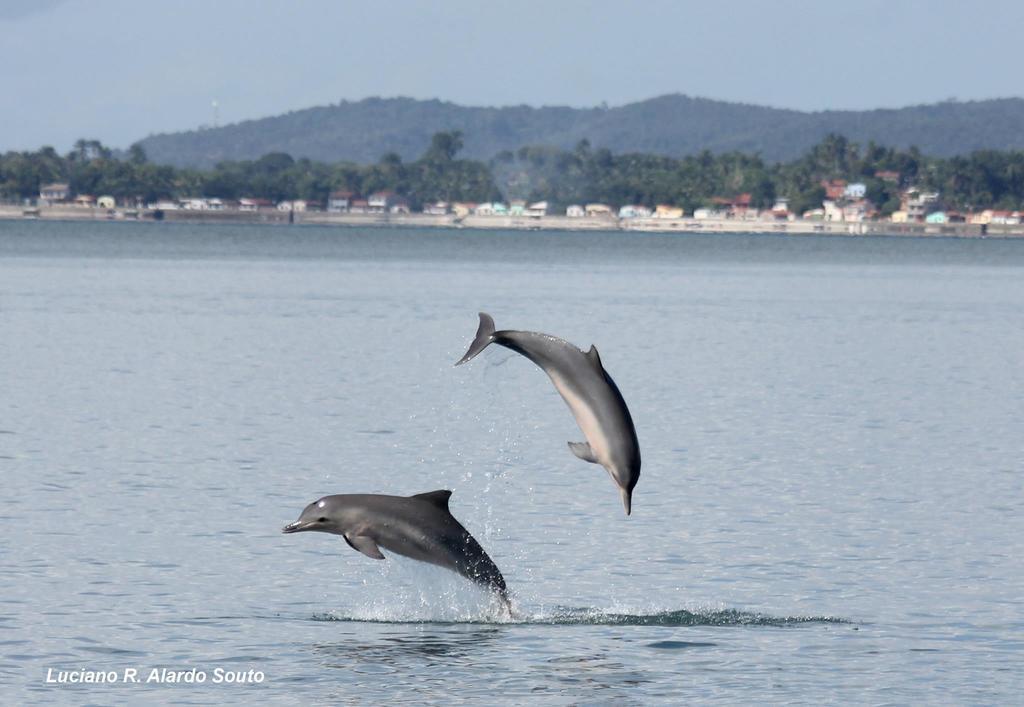 شقة Florianopolis Beiramar الغرفة الصورة