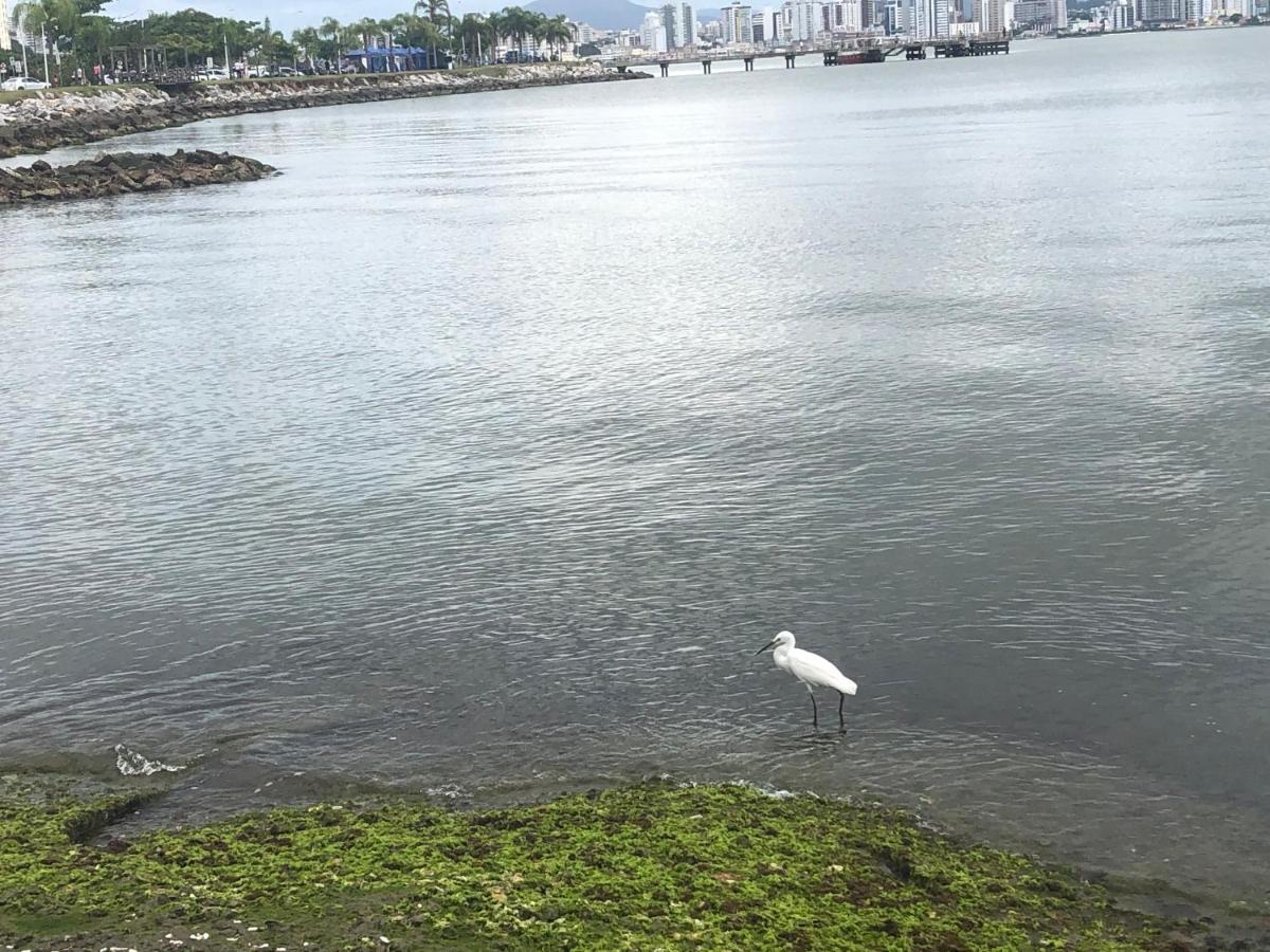 شقة Florianopolis Beiramar المظهر الخارجي الصورة